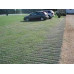 GP Flex Grass Protection Mesh - 1m x 20m x 11mm - 1400g/m2